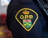 La polizia dell’Ontario indaga sulla discussione tra agente e manifestante