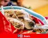 Una novità in Belgio e nel Benelux: gli animali saranno curati come gli esseri umani