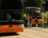 Boom dei viaggi in autobus in Belgio: la domanda esplode, ma la carenza di autisti persiste