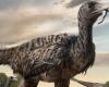 Tracce di un velociraptor XXL, il più grande di tutti, scoperte da ricercatori in Cina