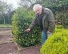 A Orne, un insetto invade il suo straordinario giardino: 5.000 alberi da salvare