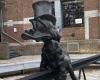 “Vattene dunque, povera papera!”: inaugurata a Bruxelles una nuova statua umoristica critica al “capitalismo sfrenato”