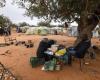 In Tunisia i migranti sopravvivono nei campi di ulivi guardando l’Europa | TV5MONDE