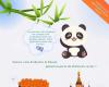 I panda giganti ti invitano ad assaggiare il caviale a Ya’an, nel Sichuan