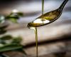 Ecco i 3 migliori oli d’oliva da acquistare nei supermercati secondo 60 milioni di consumatori