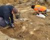 Yvelines: archeologi entusiasti delle nuove scoperte fatte in questa città millenaria