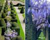 A poche ore da Parigi, questi giardini quasi irreali hanno vinto il “Premio Europeo dei Giardini” nel 2018 – Paris ZigZag