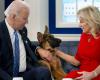 Il potenziale candidato alla corsa di Trump vuole che il cane di Biden venga messo a morte