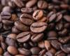 Ad aprile i prezzi del caffè Robusta hanno toccato il massimo degli ultimi 45 anni – CommodAfrica