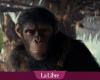 Bruno Pollet, il belga dietro gli effetti speciali di “Il pianeta delle scimmie: il nuovo regno”: “Bisogna immaginarsi nei panni di una scimmia”