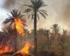 Il fuoco continua a devastare le oasi di Tata