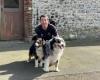 Essonne: questa pensione per cani entusiasma da anni i proprietari