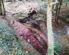 In mezzo al bosco, un escursionista cade in un burrone nel Doubs, per 15 metri, il suo bambino lancia l’allarme