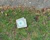 La polizia avverte di non raccogliere banconote da un dollaro piegate che potresti trovare nel tuo giardino