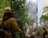 Il Messico combatte 159 incendi boschivi nel mezzo di un’ondata di caldo (foto)