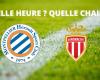 Montpellier-Monaco: a che ora e su quale canale vedere la partita in diretta?