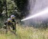 Ambiente. Un atlante per prevenire il rischio di incendi boschivi in ​​Normandia