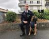 Angoulême: il cane poliziotto Scott distinto dalla società per aver incoraggiato il bene della Charente