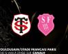 Stade Toulousain – Stade Français live: ecco come seguire in diretta la partita di rugby di questa domenica