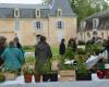 Dordogna: scambio di piante nel vialetto del castello di Saint-Laurent-sur-Manoire
