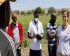Summit africano sui fertilizzanti e la salute del suolo: l’AfDB chiede l’espansione dell’agritech, le partnership e l’accesso a fertilizzanti a prezzi accessibili – VivAfrik