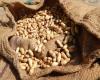 Il Senegal dovrebbe smettere di esportare le sue arachidi? – CommodAfrica