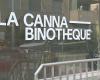 quali risultati per il primo negozio di cannabis a Ginevra, sei mesi dopo la sua apertura?