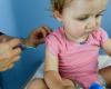 Vaccinazione in farmacia, maschera… Come combattere la pertosse, la malattia che ha ucciso due neonati a Montpellier nel 2024