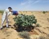 Libia: un tempo fertile, zona montuosa in preda ai cambiamenti climatici