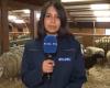 Sequestro di pecore in pessime condizioni a Enghien: che ne sarà di questi animali?