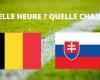Belgio – Slovacchia: a che ora e su quale canale vedere la partita in diretta?
