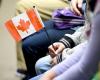 Continuano ad aumentare gli immigrati temporanei: in Quebec sono 597mila, secondo i dati di Statistics Canada
