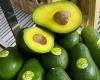 “Il prezzo dell’avocado Bonella è molto simile a quello dell’Hass”