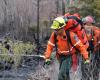 L’incendio boschivo tra Murdochville e Gaspé è ora sotto controllo