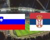 Serbia: su quale canale e a che ora vedere in diretta la partita di Euro 2024?