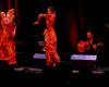 Colomiers. “Incontro Flamenca” con il collettivo artistico Columérin E2A