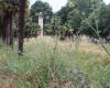 Parchi abbandonati in città: perché Tolosa lascia crescere le sue erbe?