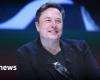 Elon Musk è diventato padre del dodicesimo figlio – News