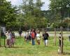 Périgueux: Cresce l’arboreto scolastico del Parc de la Source