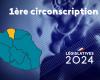 Elezioni legislative 2024: cosa c’è da sapere sul 1° collegio elettorale della Riunione