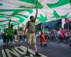 America Latina: il Brasile convalida la depenalizzazione del possesso di cannabis