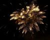 Festa nazionale a Conflans-Sainte-Honorine (78): fuochi d’artificio e balli il 13 luglio 2024