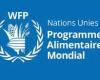 Il Programma Alimentare Mondiale (WFP) recluta (27 giugno 2024)
