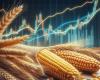 Cereali COT’Hebdo | Il prezzo del grano tenero sfiora i 220 €/t spot su Euronext, sotto la pressione dei raccolti e della concorrenza estera