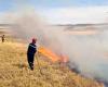 Incendi di raccolta: quasi 200 ettari di perdite