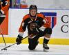 Tracker draft NHL dei Tigers: l’attaccante Andrew Basha scelto dai Flames al secondo turno