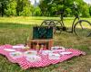 Giornata nazionale a Villeparisis (77): picnic repubblicano il 13 luglio 2024