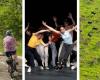 Ciclisti in campagna, spettacoli ad Avignone e antilopi in esodo… 10 articoli che ci hanno confortato questa settimana – Libération