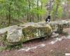 Lo sapevate ? Il più grande dolmen dell’Île-de-France si nasconde nella foresta di Rambouillet