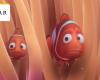 Alla ricerca di Nemo: questo seguito nessuno lo vedrà mai, e probabilmente è meglio così – Cinema News